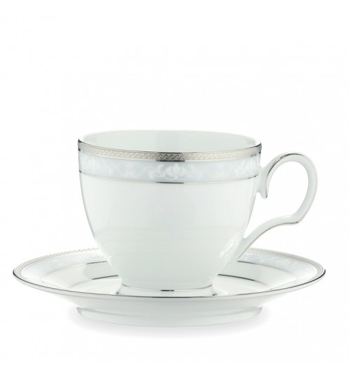 Hampshire Platinum Tea Cup and Saucer Set