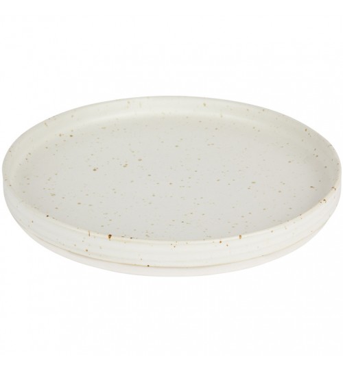 Large Snow Amity Speckle Ceramic Plate